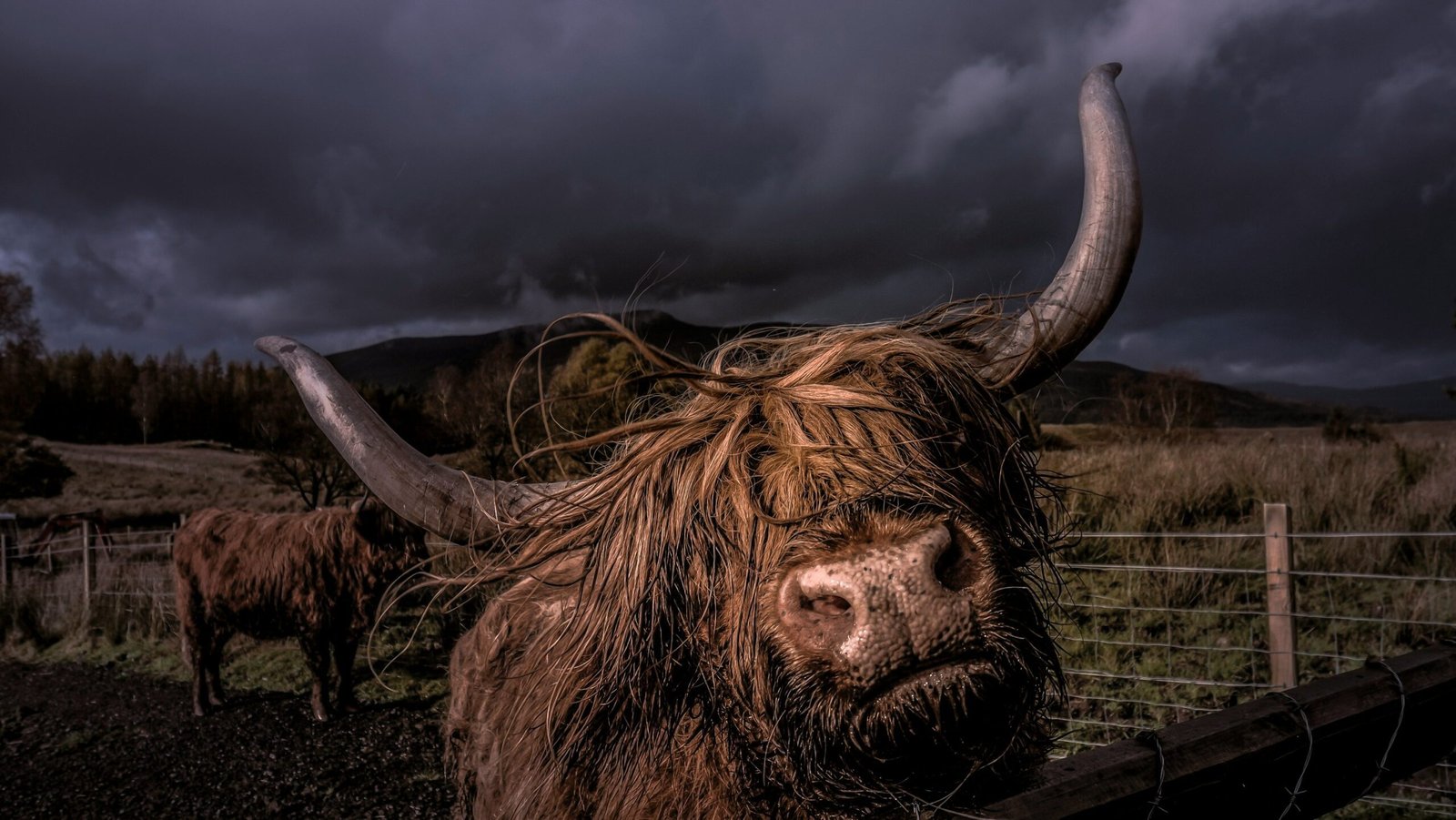 Why High Net-Worth Investors Are Super Bullish on Bitcoin Right Now Why High Net-Worth Investors Are Super Bullish on Bitcoin Right Now