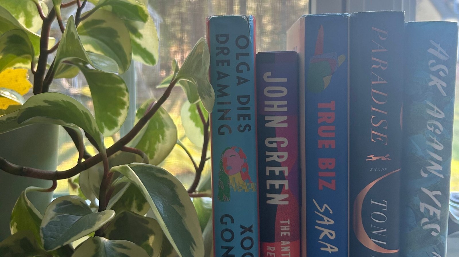 App apologizes for offensive AI summary