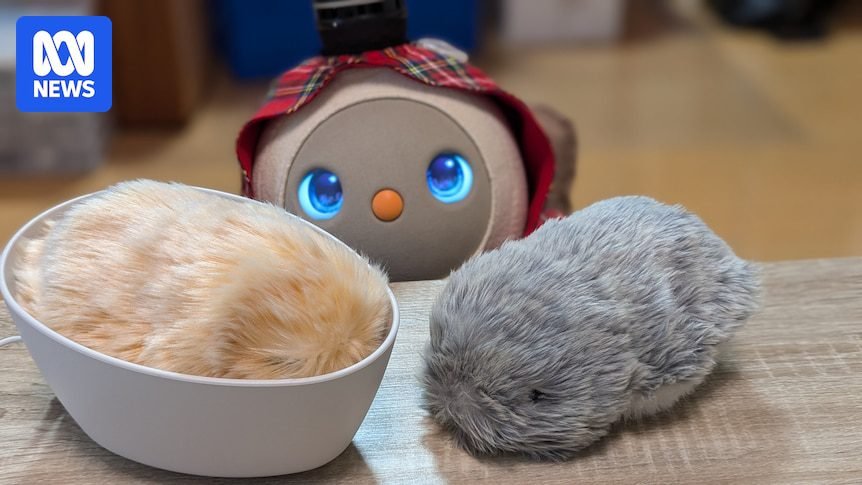 Rise of AI and loneliness drives demand for robot pets