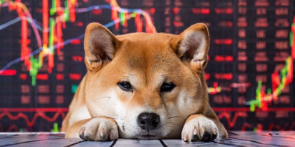 Dogecoin Gives Up All of Its 2025 Gains as Bitcoin, Solana Keep Falling Dogecoin Gives Up All of Its 2025 Gains as Bitcoin, Solana Keep Falling