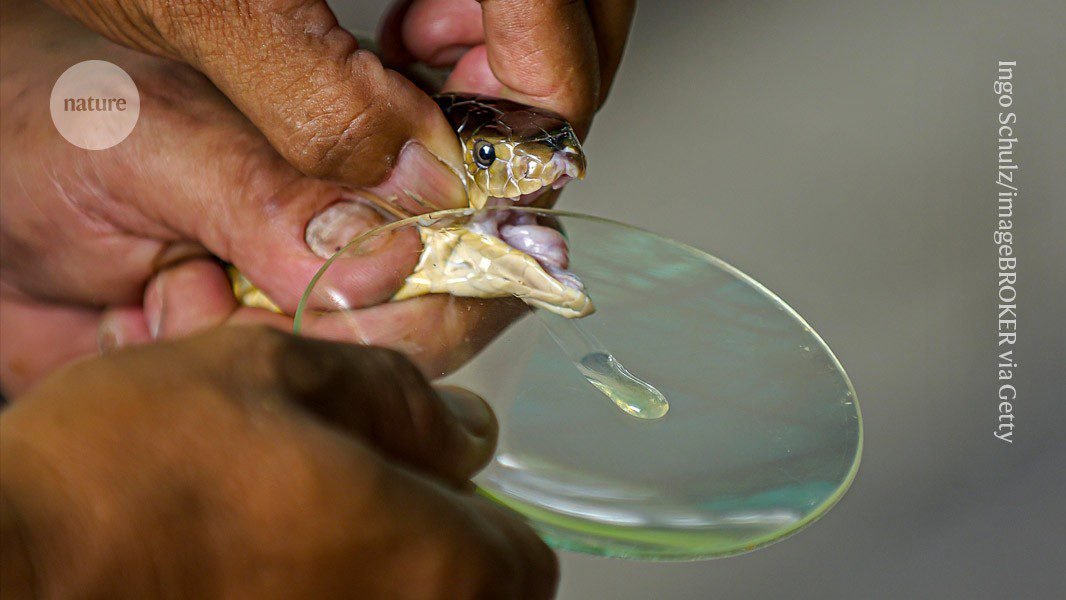 AI-designed proteins tackle century-old problem — making snake antivenoms