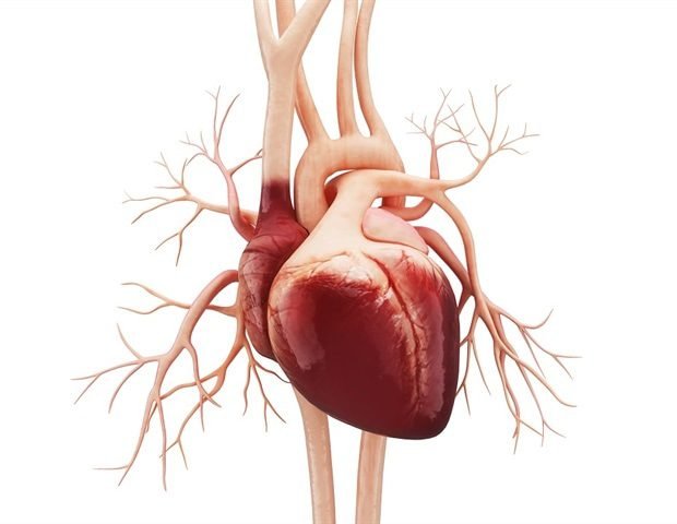 AI tool speeds up patient screening for heart failure trials AI tool speeds up patient screening for heart failure trials