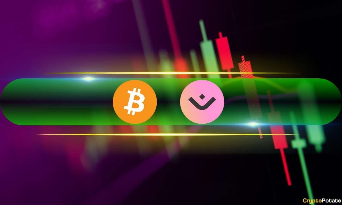 These Altcoins Soar as Bitcoin (BTC) Holds Steady Above K (Weekend Watch) These Altcoins Soar as Bitcoin (BTC) Holds Steady Above K (Weekend Watch)
