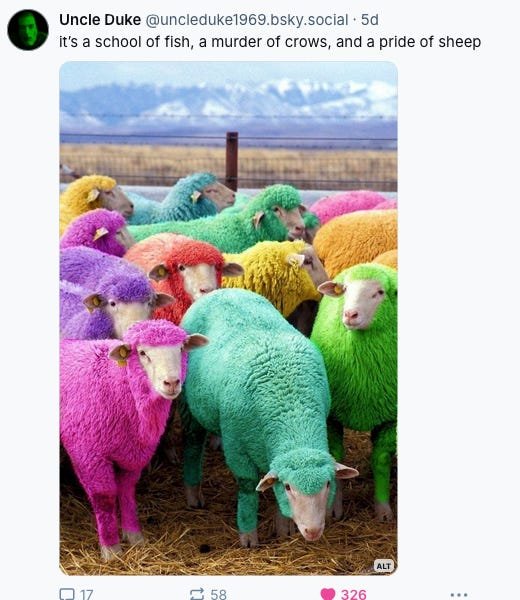 “Hidden” JSON fields from AI services, Giazotto vs Albinoni vs Bach/Gounod, and the usual toots and skeets