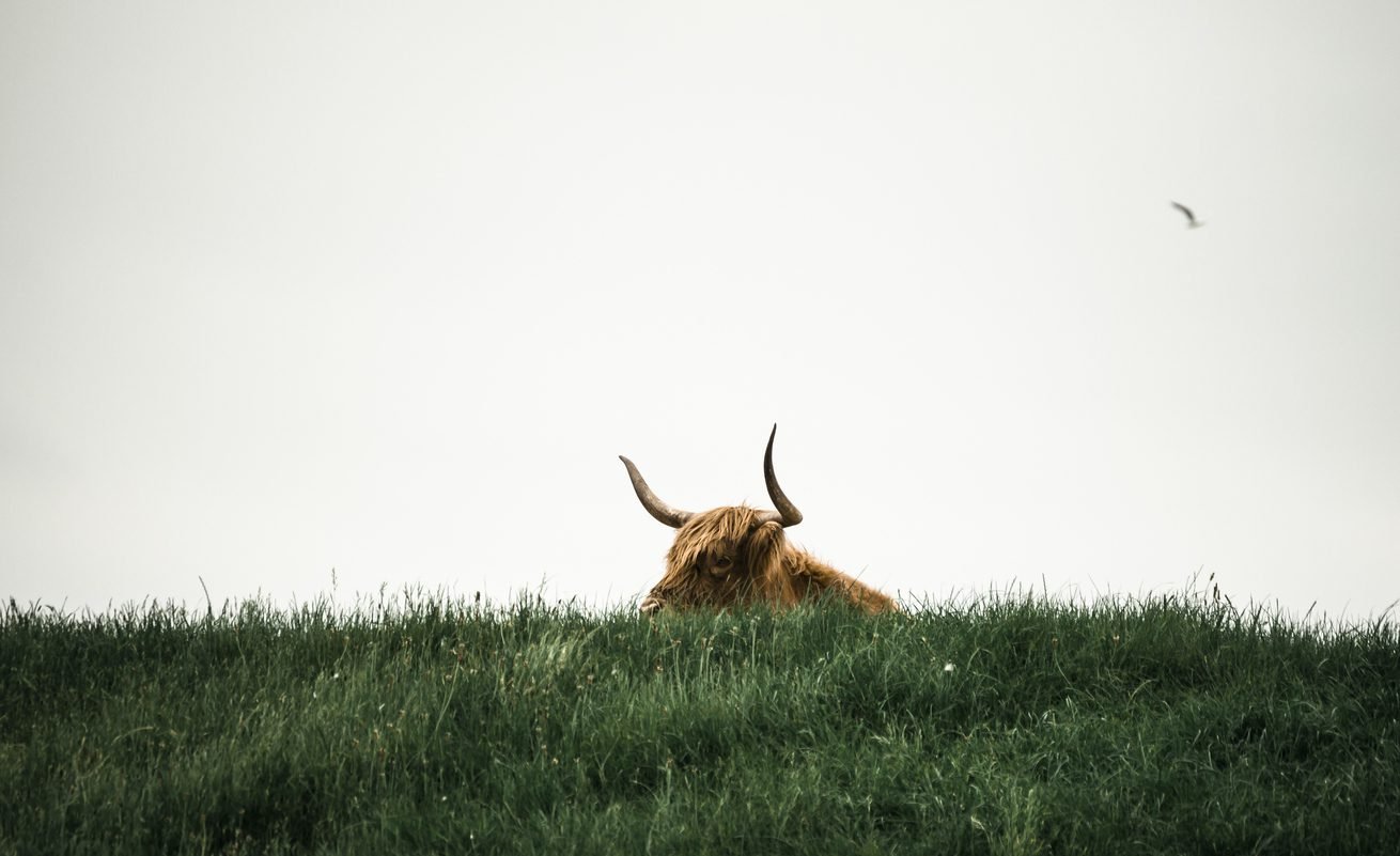 Bitcoin Bulls On The Prowl As Stablecoin Market Cap Hits 4 Billion