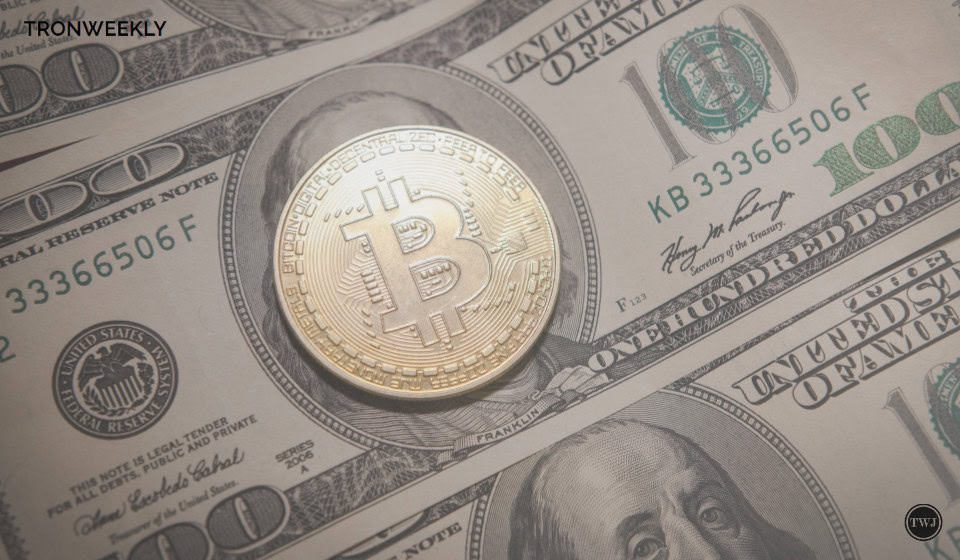 South African Company Becomes First Public Firm In Africa To Hold Bitcoin South African Company Becomes First Public Firm In Africa To Hold Bitcoin