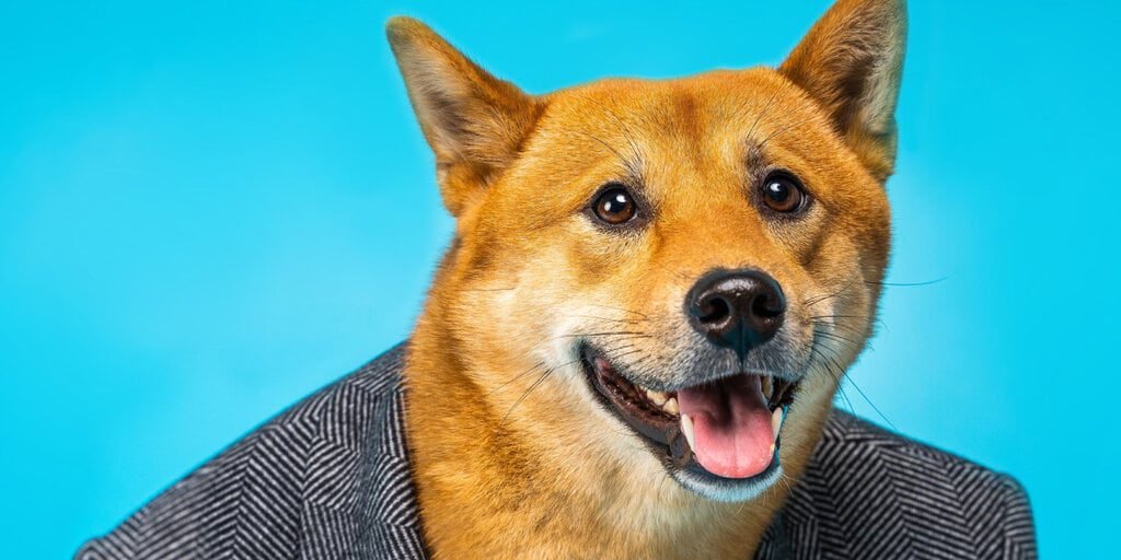 Publicly Traded Firm Buys 1 Million Dogecoin to Augment Bitcoin Reserve Publicly Traded Firm Buys 1 Million Dogecoin to Augment Bitcoin Reserve
