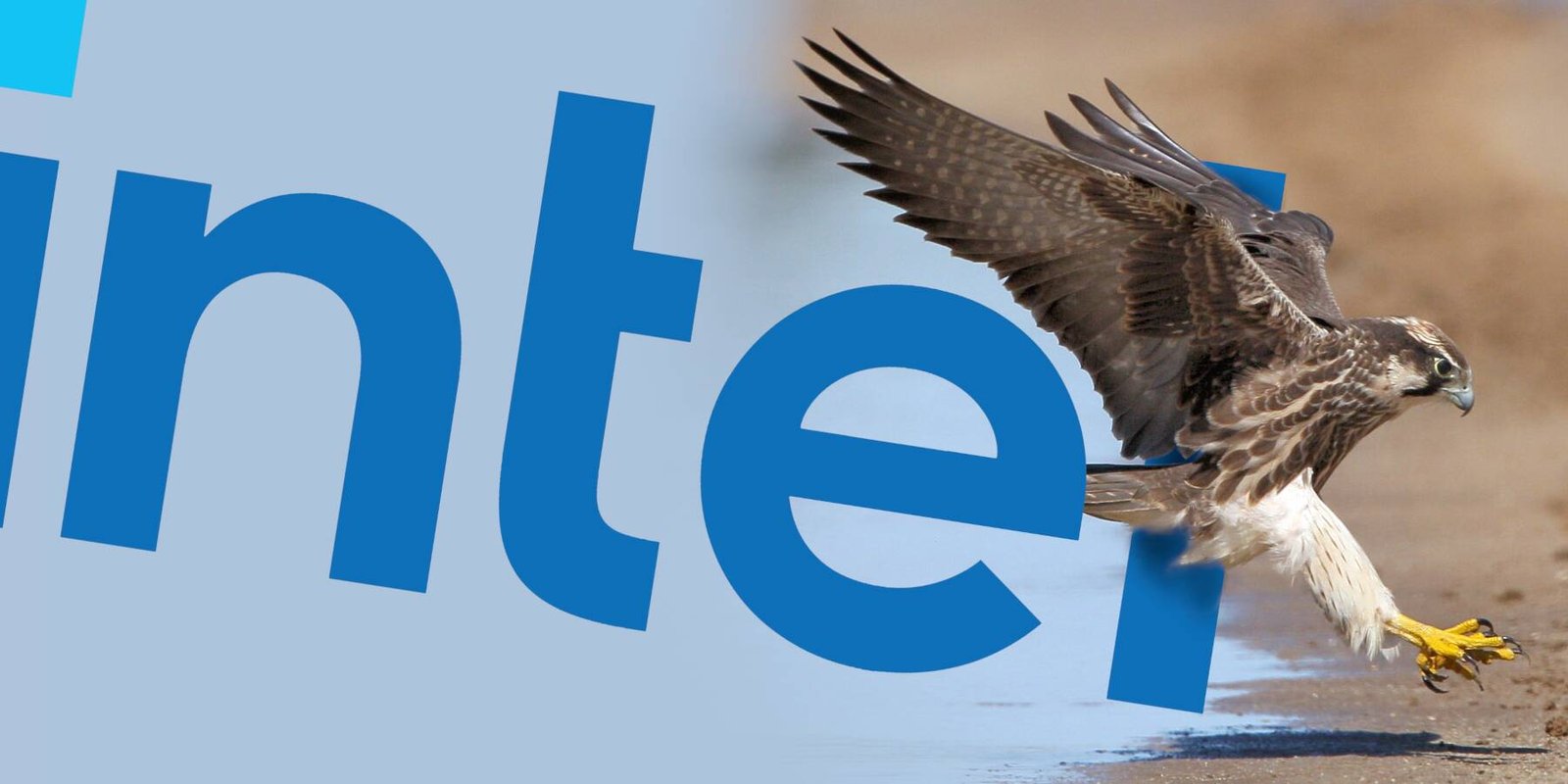 Intel has missed the boat for AI in the datacenter • The Register