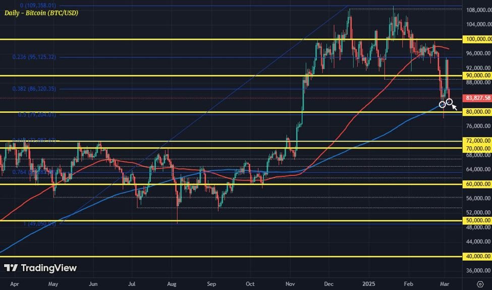 Bitcoin falls back to test key level as the “strategic reserve” pump gets dumped