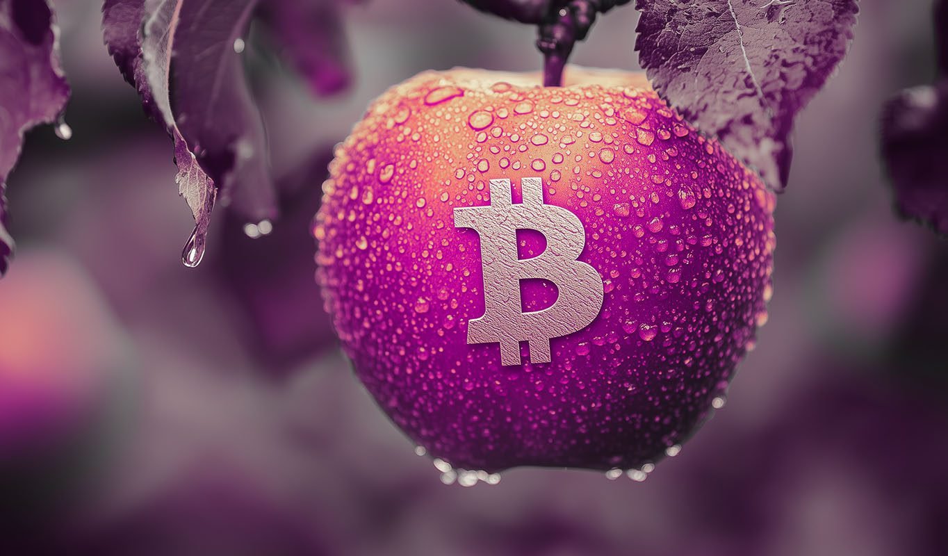 Analyst Predicts New All-Time High Rallies for Bitcoin, Says BTC Now in Stage Two of Bull Market Analyst Predicts New All-Time High Rallies for Bitcoin, Says BTC Now in Stage Two of Bull Market