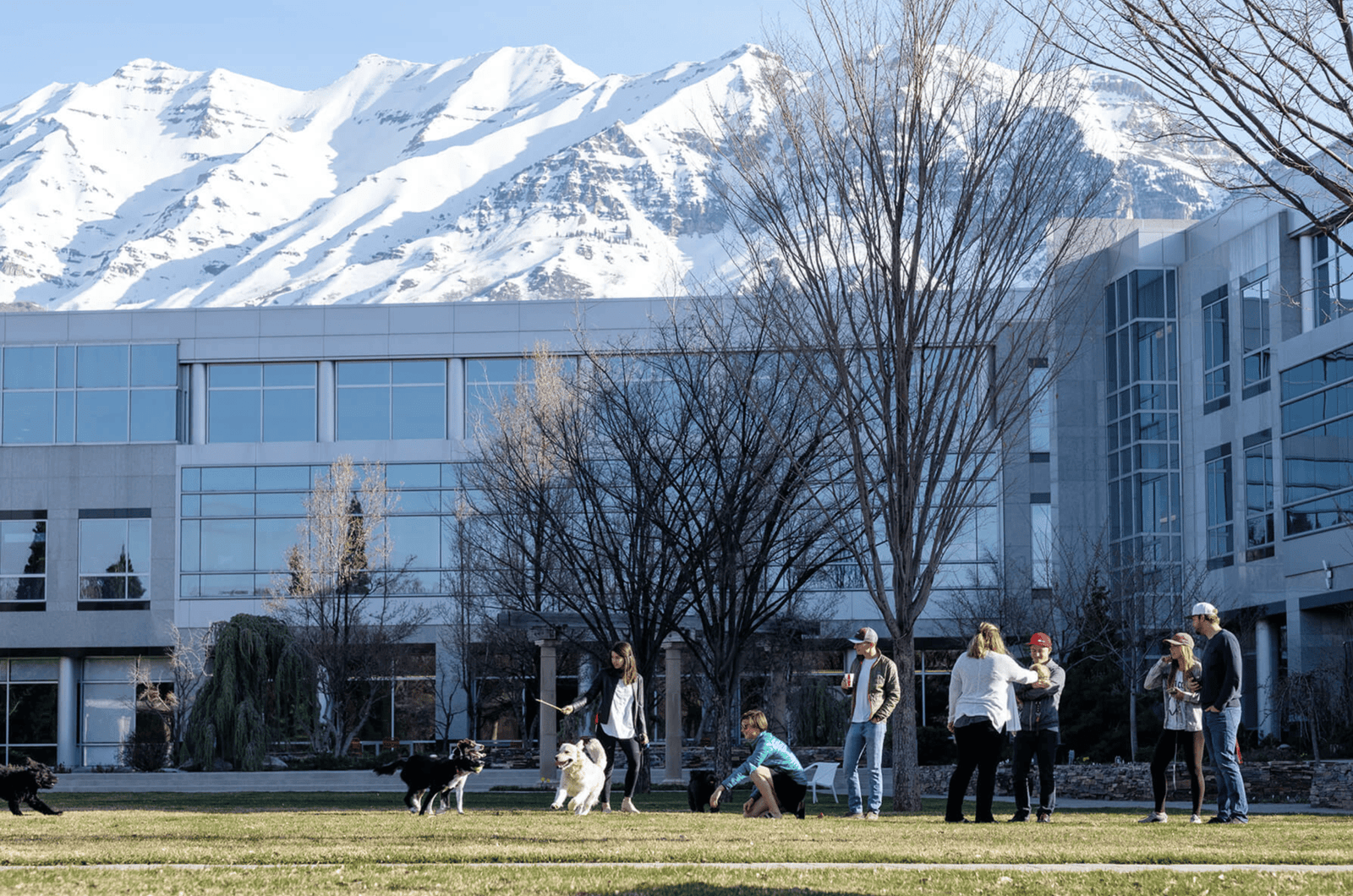 Qualtrics Unveils AI-Powered Experience Agents to Elevate Customer and Employee Interactions Qualtrics Unveils AI-Powered Experience Agents to Elevate Customer and Employee Interactions