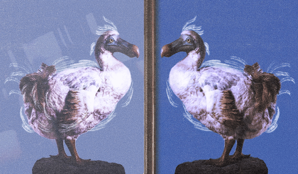 Platforms’ AI solutions promised to deliver, marketers not convinced Platforms’ AI solutions promised to deliver, marketers not convinced