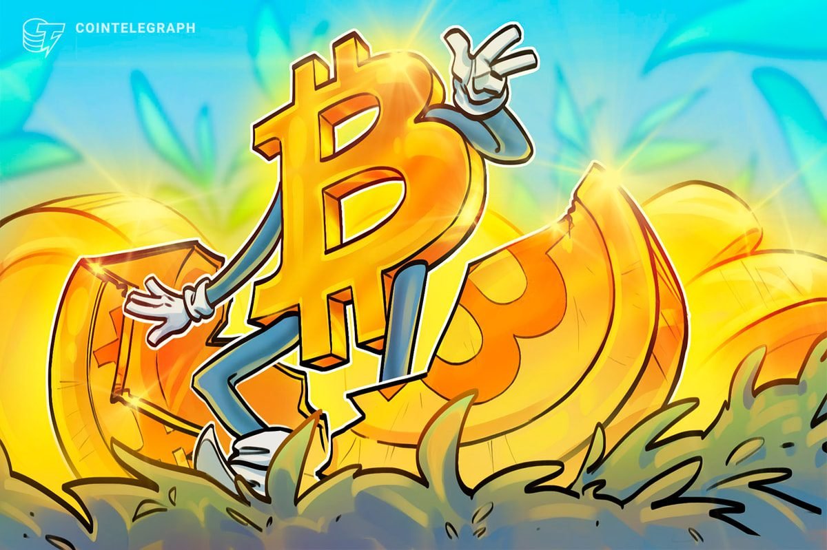 ‘Strategy is synthetically halving Bitcoin’ — Author and analyst ‘Strategy is synthetically halving Bitcoin’ — Author and analyst