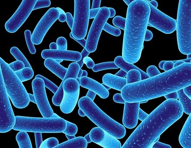 AI predicts bacterial resistance to antibiotics with high accuracy AI predicts bacterial resistance to antibiotics with high accuracy