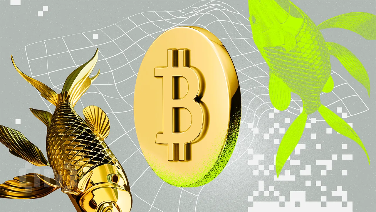Bitcoin Poised for Summer Rally as Gold Leads and Liquidity Peaks Bitcoin Poised for Summer Rally as Gold Leads and Liquidity Peaks