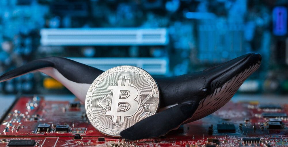 From  to  Million: Bitcoin Whale Moves BTC Mined 15 Years Ago From  to  Million: Bitcoin Whale Moves BTC Mined 15 Years Ago