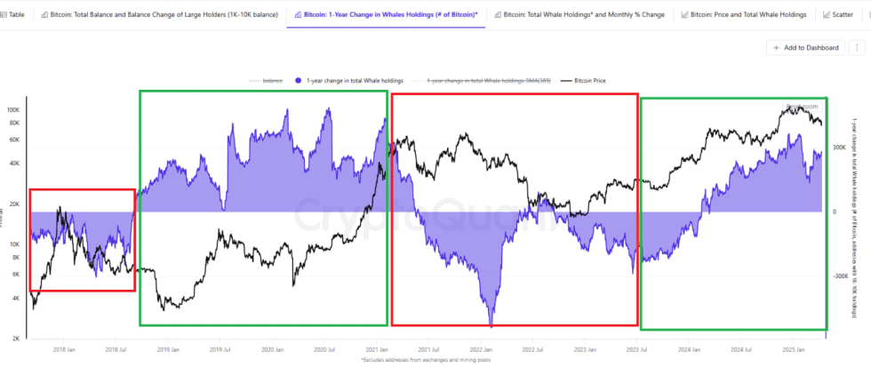 Bitcoin Whales Haven’t Made Their Exit Yet – Is The Bull Cycle Still Intact?