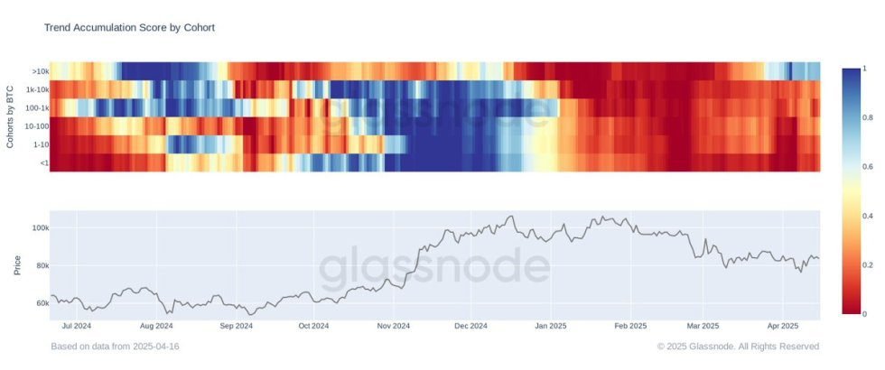 Bitcoin Whales Keep Strong Accumulation Trend As Mid-Sized Holders Hint At Sentiment Shift – Details Bitcoin Whales Keep Strong Accumulation Trend As Mid-Sized Holders Hint At Sentiment Shift – Details