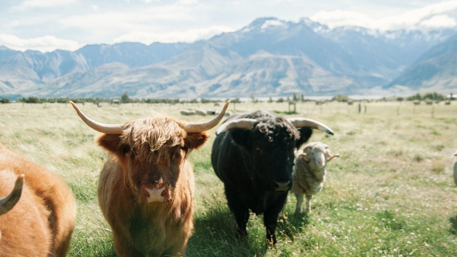 Ether-Bitcoin Ratio Hits Bullish Level, But Caution Ahead Ether-Bitcoin Ratio Hits Bullish Level, But Caution Ahead