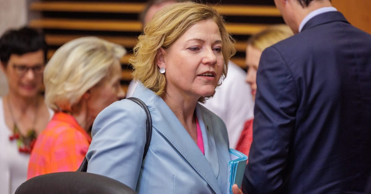 Europe’s top CEOs ask EU to pause AI Act – POLITICO Europe’s top CEOs ask EU to pause AI Act – POLITICO