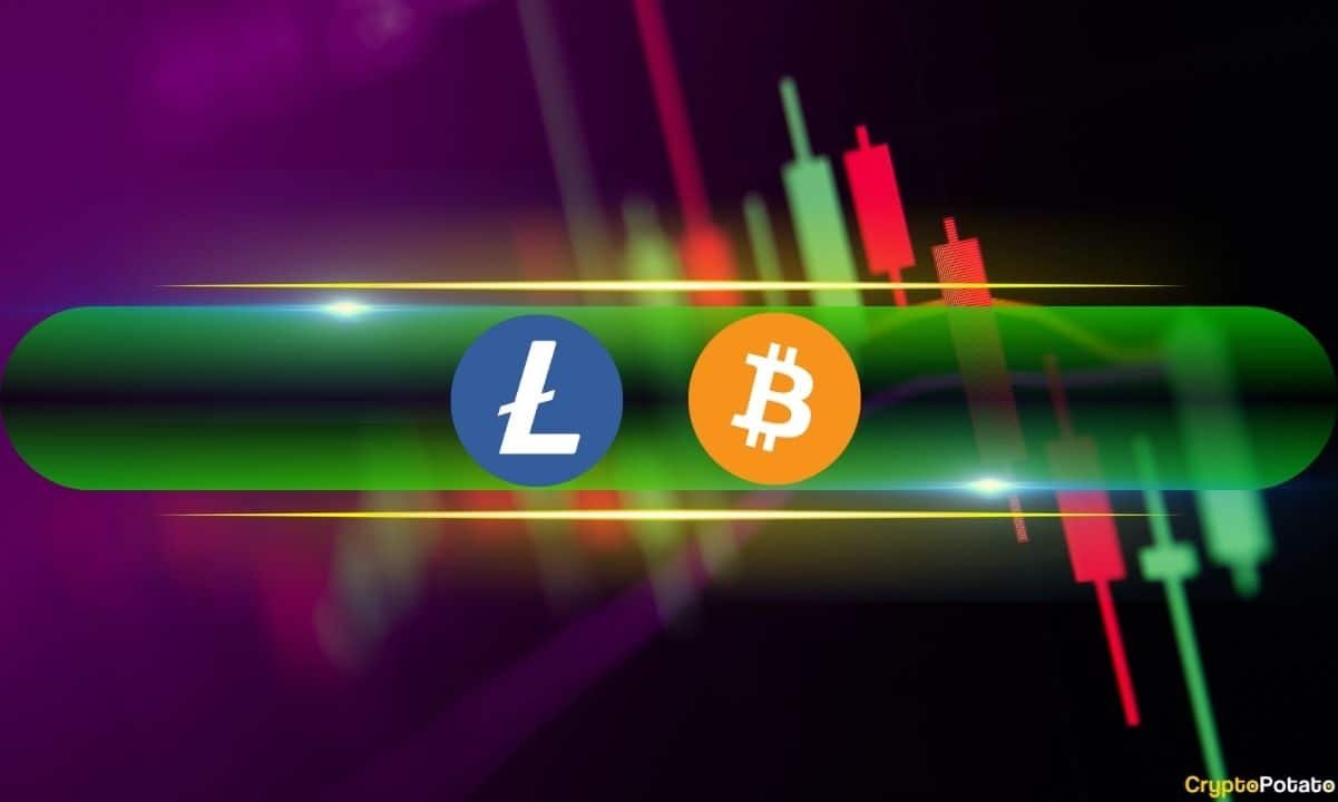 Litecoin Skyrockets by Double-Digits, Bitcoin Price Stalls at 8K: Weekend Watch