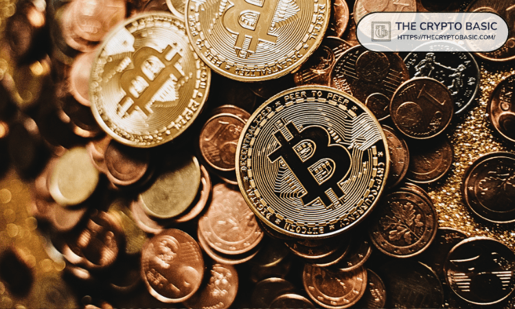 Bitcoin Whales Shed 500,000 BTC in a Year as Institutions Step In: Bloomberg Bitcoin Whales Shed 500,000 BTC in a Year as Institutions Step In: Bloomberg