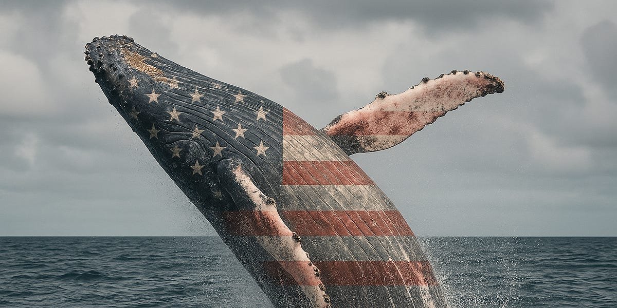 The American DeepSeek Project – by Nathan Lambert The American DeepSeek Project – by Nathan Lambert