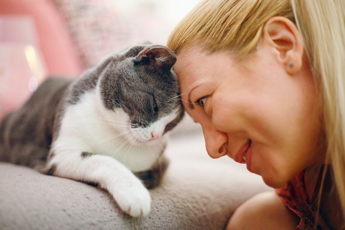 AI research exploring how humans could speak with pets – and what could go wrong AI research exploring how humans could speak with pets – and what could go wrong