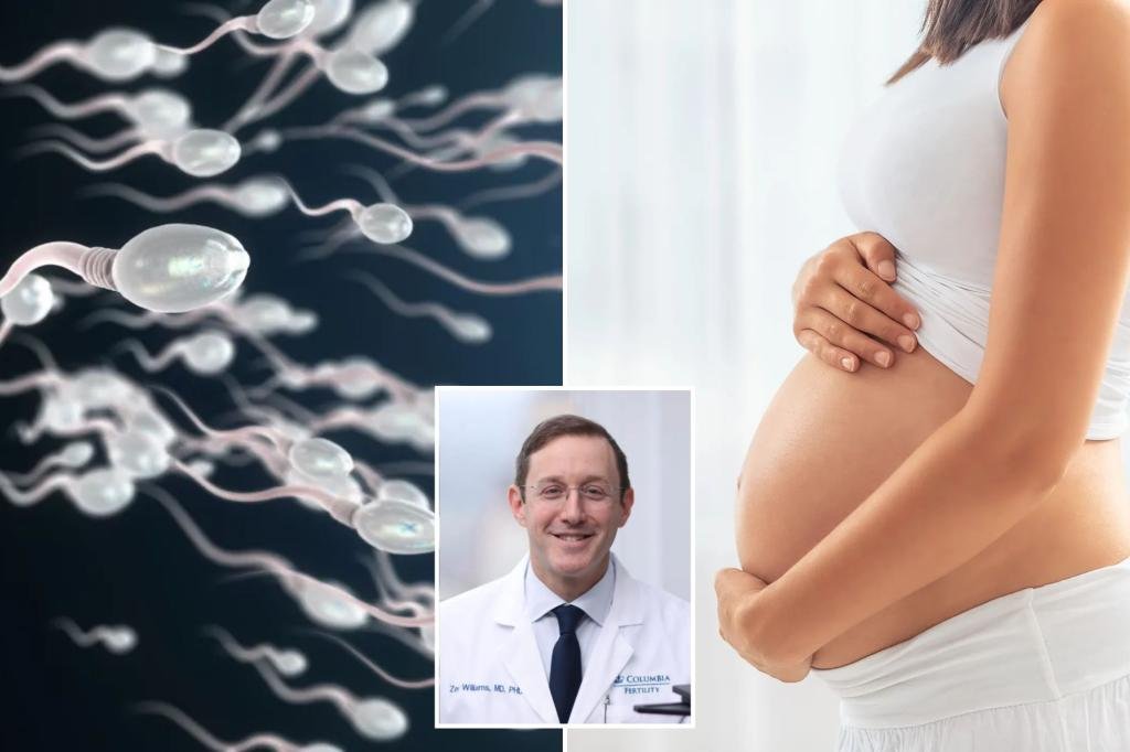 AI helps couple get pregnant after 18 years of trying AI helps couple get pregnant after 18 years of trying