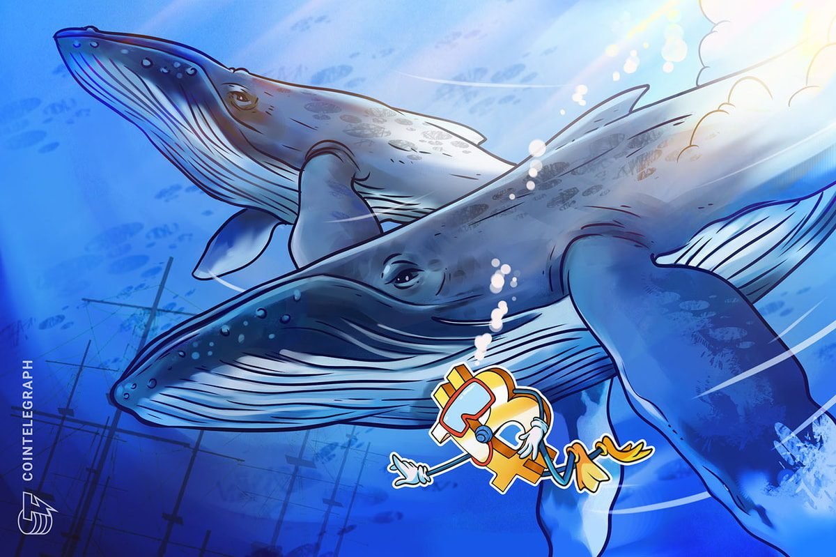 Bitcoin Whale Shifts to ETH With 5 Million Long Position Bitcoin Whale Shifts to ETH With 5 Million Long Position
