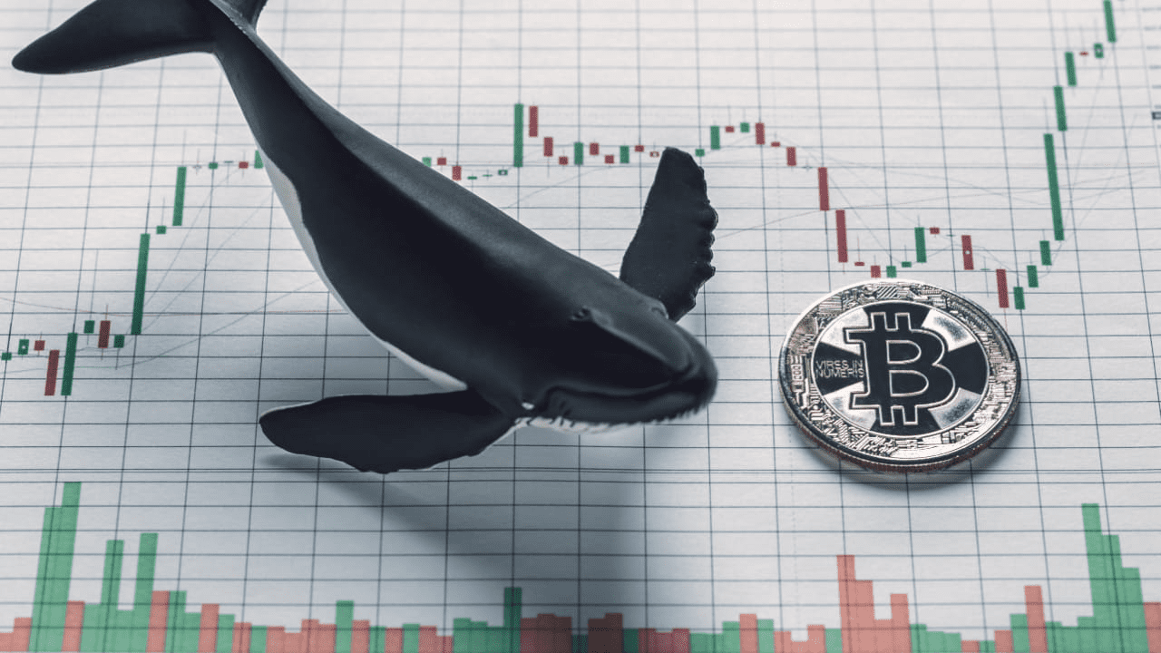 Here Are the Best Crypto Presales to Buy to Offset Your Losses Here Are the Best Crypto Presales to Buy to Offset Your Losses