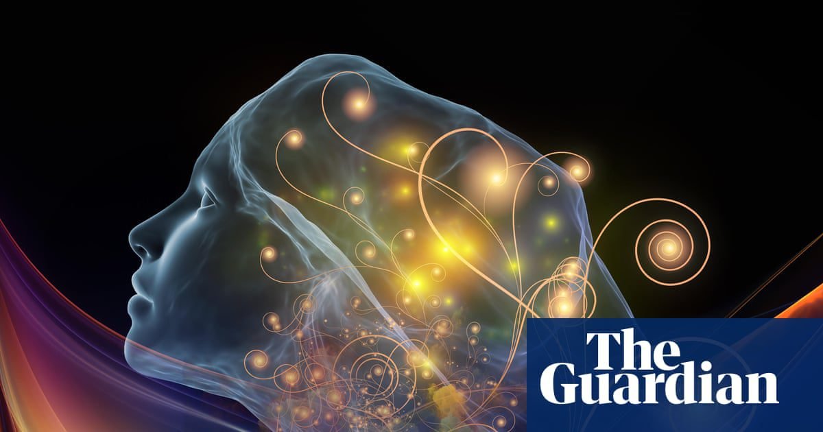 Don’t let AIs fool you – they can’t ‘suffer’ | Artificial intelligence (AI) Don’t let AIs fool you – they can’t ‘suffer’ | Artificial intelligence (AI)