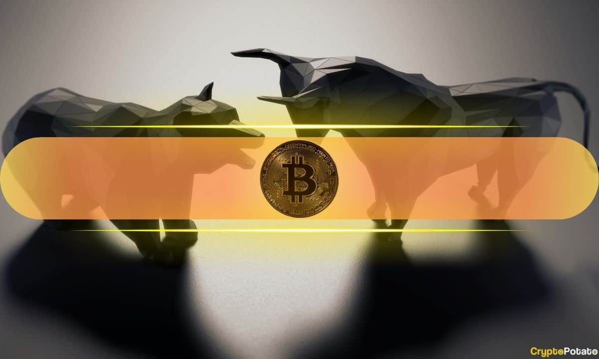 What Could Happen Next? (Bitfinex Alpha) What Could Happen Next? (Bitfinex Alpha)