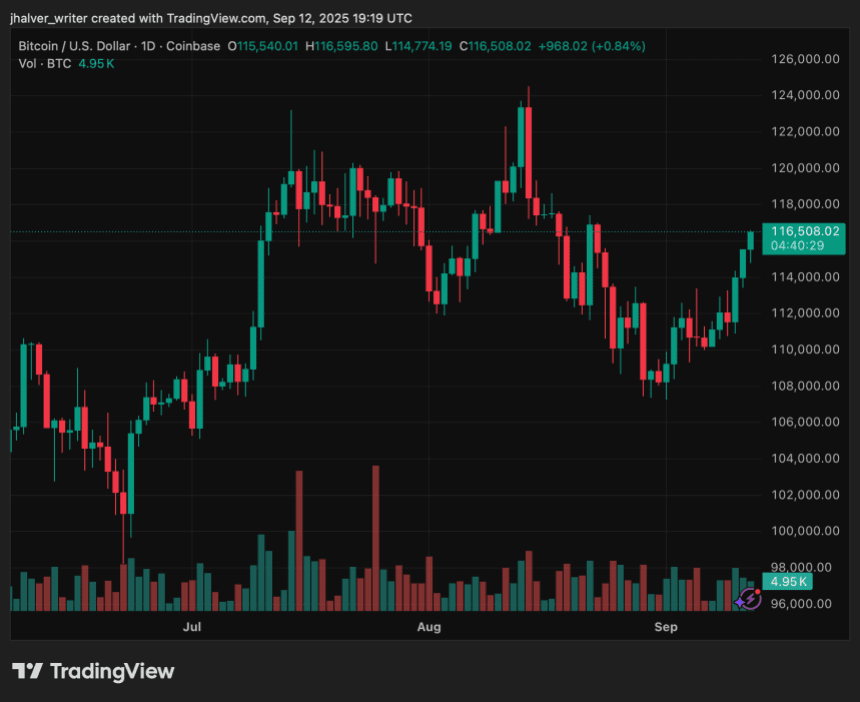 Bitcoin Climbs Past 5,000 on Inflation Relief and ETF Flows, But Bearish Signals Loom Bitcoin Climbs Past 5,000 on Inflation Relief and ETF Flows, But Bearish Signals Loom