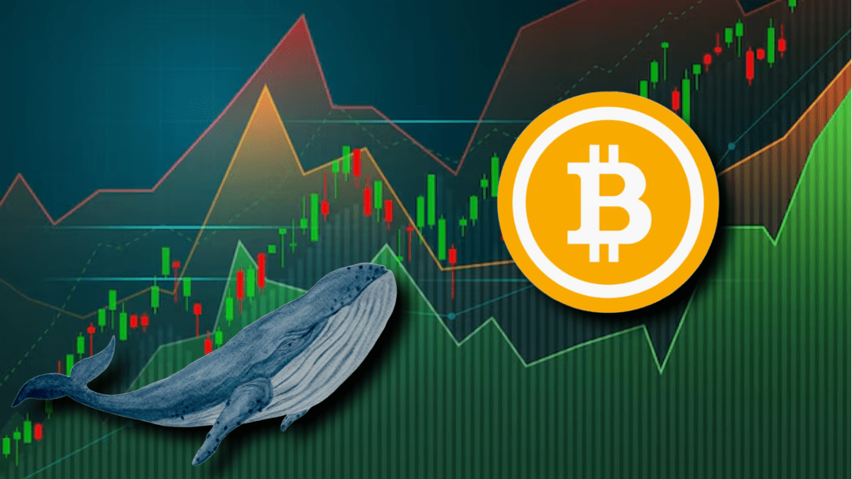 Best Bitcoin Blackjack Websites 2025 Best Bitcoin Blackjack Websites 2025
