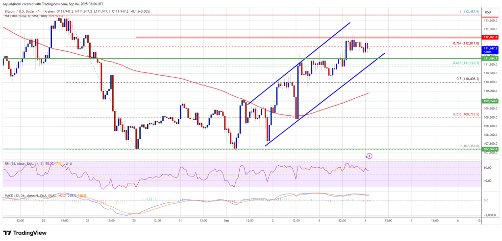 Bitcoin Price Recovery Underway – But Momentum Tells a Different Story? Bitcoin Price Recovery Underway – But Momentum Tells a Different Story?