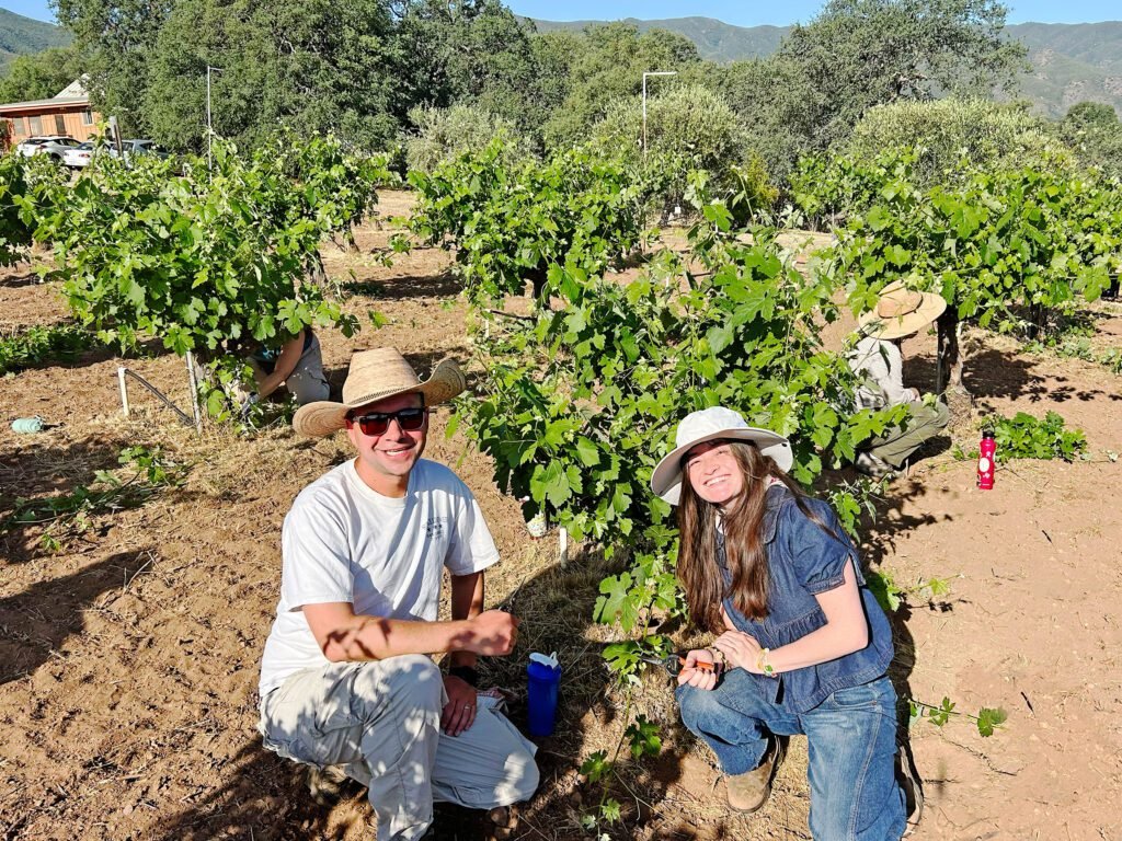 Experiential learning: A solution to AI-driven challenges