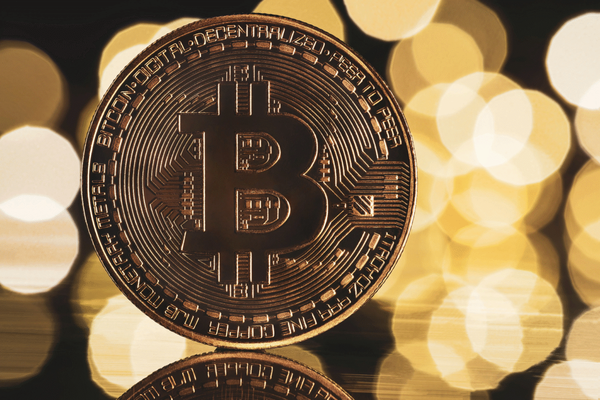 BullZilla, Bitcoin & SUI Insights BullZilla, Bitcoin & SUI Insights