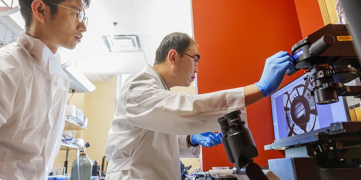 IU research combines sound waves and AI to power faster biomedical research: IU News