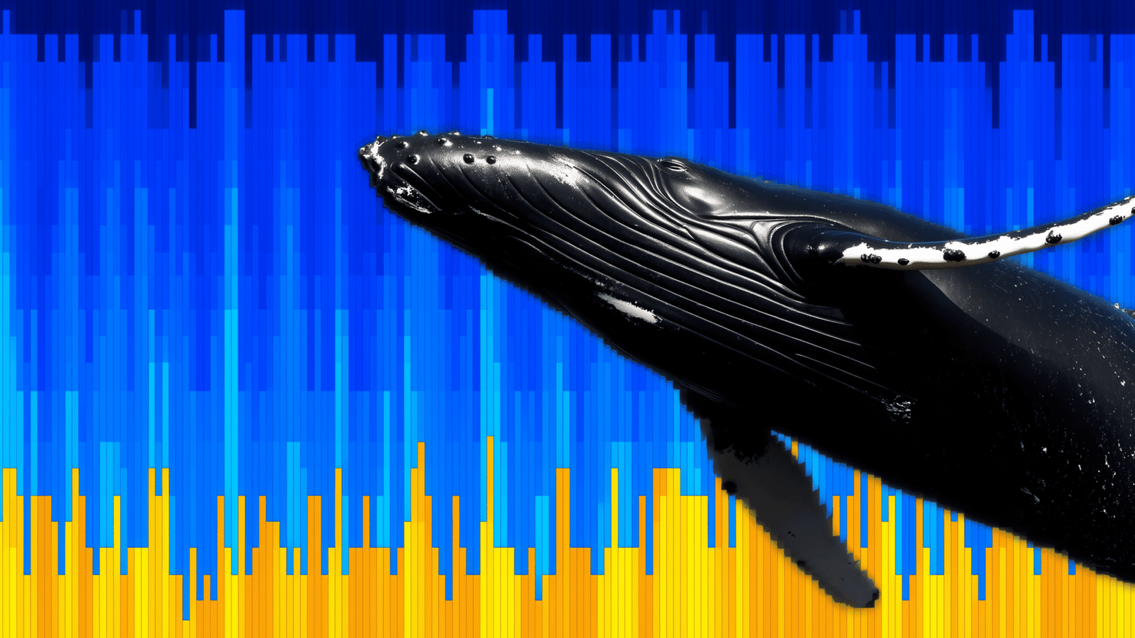 Bitcoin’s Short-Term Whales Now Hold .1B in Paper Gains. Is a Cash Out Next? Bitcoin’s Short-Term Whales Now Hold .1B in Paper Gains. Is a Cash Out Next?