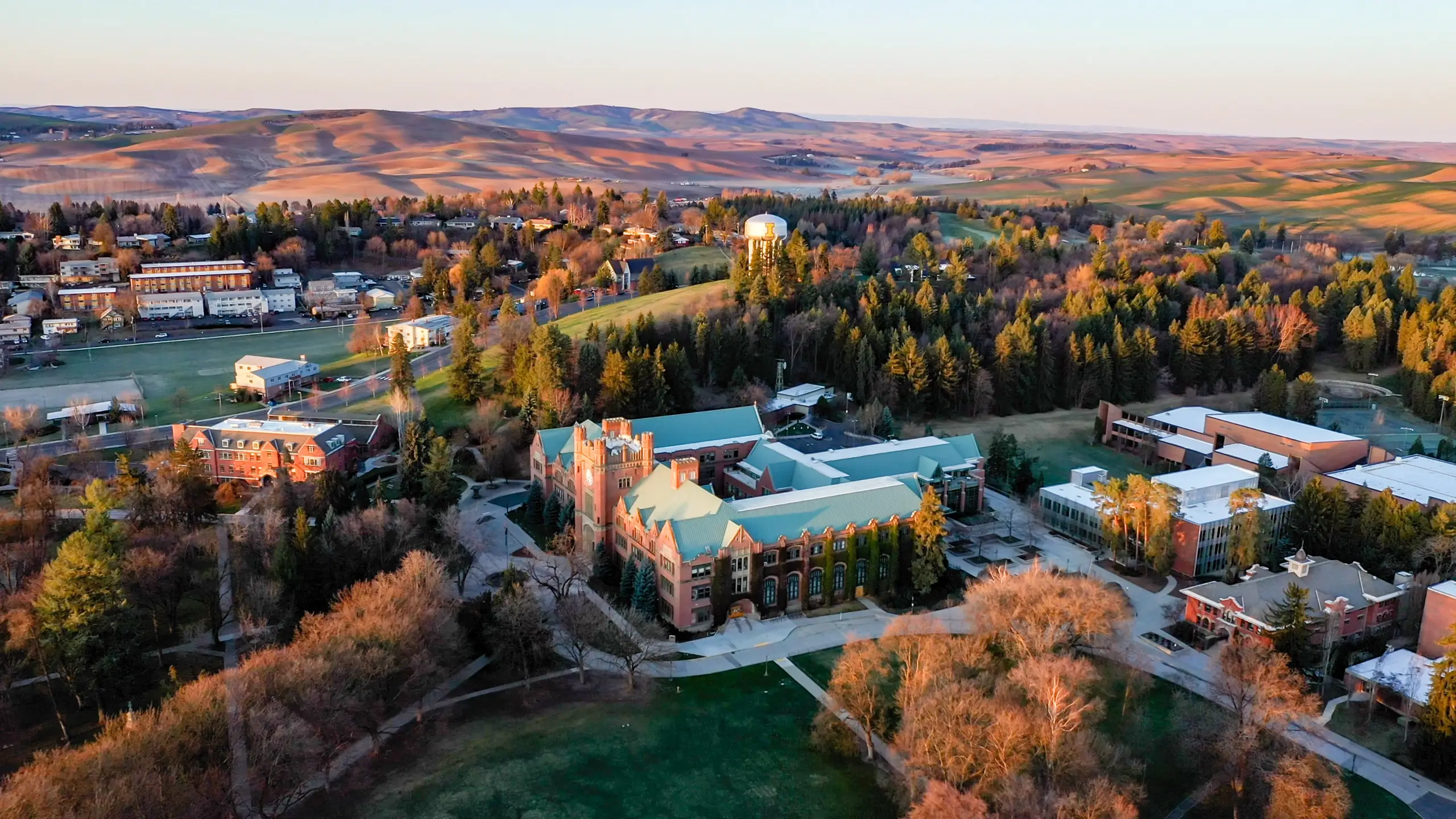 University of Idaho partners with Google to offer free AI, career training University of Idaho partners with Google to offer free AI, career training