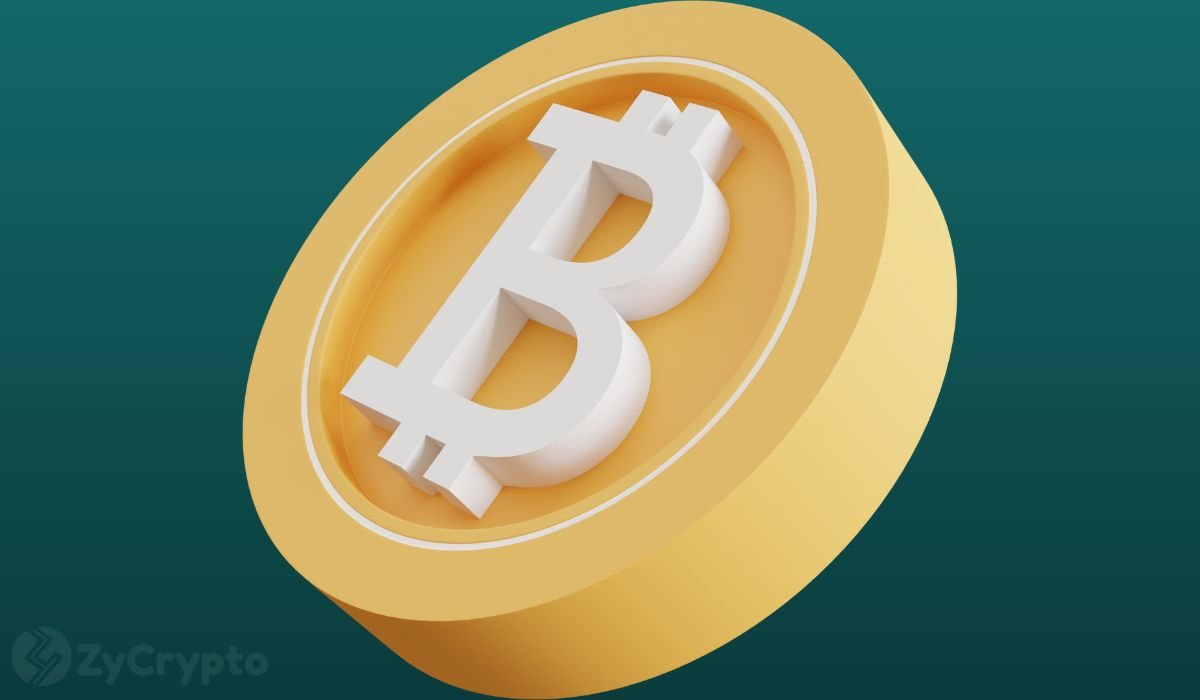 David Bailey Predicts 5,000 End-of-Year Price Point For Bitcoin Amid Whispers Of An Extended Bear Rally ⋆ ZyCrypto