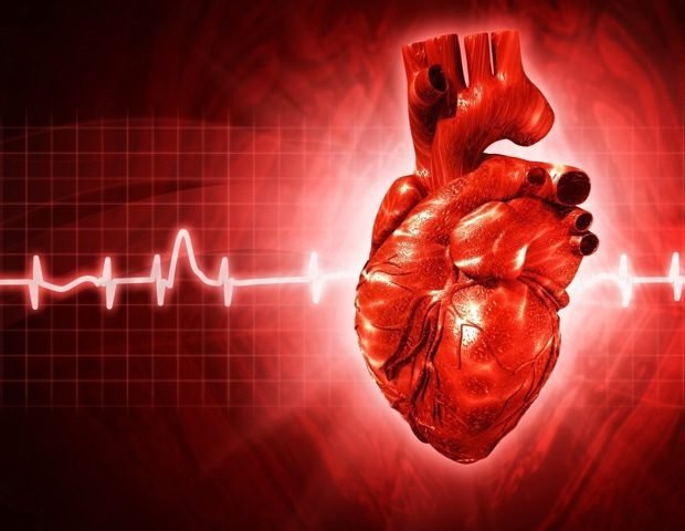 AI, omics, and systems biology could transform heart drug development