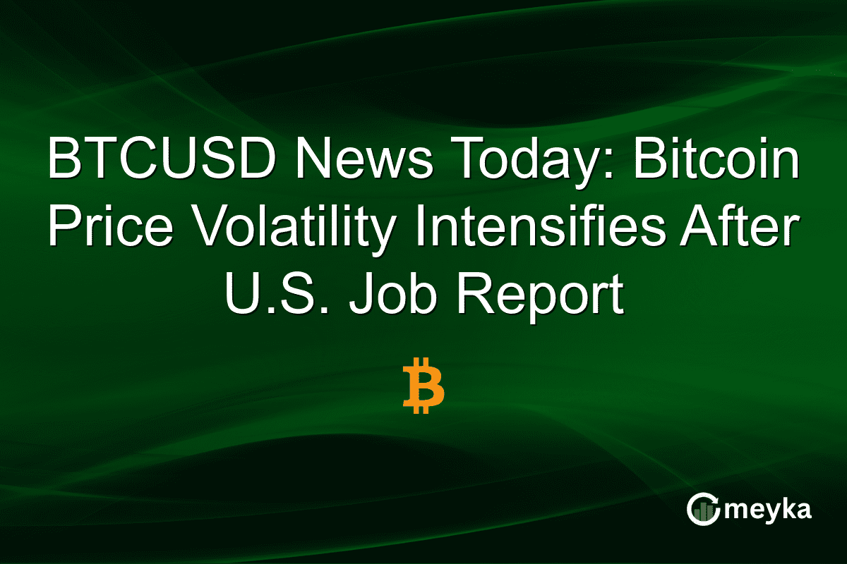 BTCUSD News Today: Bitcoin Price Volatility Intensifies After U.S. Job Report BTCUSD News Today: Bitcoin Price Volatility Intensifies After U.S. Job Report