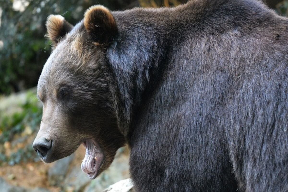 Bitcoin Summer Erased By Autumn Chill: Evening Briefing Americas