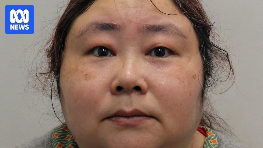 Chinese ‘cryptoqueen’ jailed in UK over bn Bitcoin laundering scheme