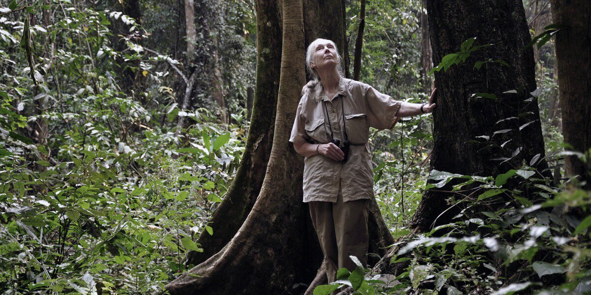 AWS uses AI to digitize Jane Goodall’s 60 years of primate research