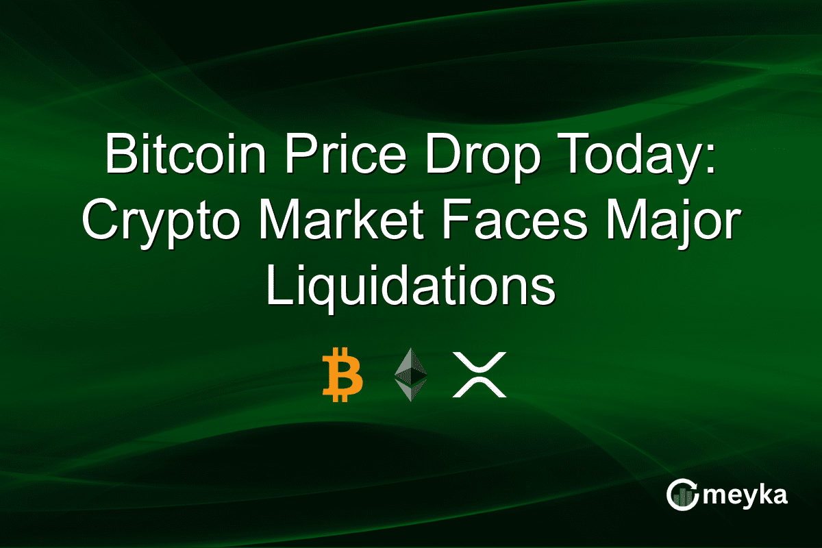 Bitcoin Price Drop Today: Crypto Market Faces Major Liquidations